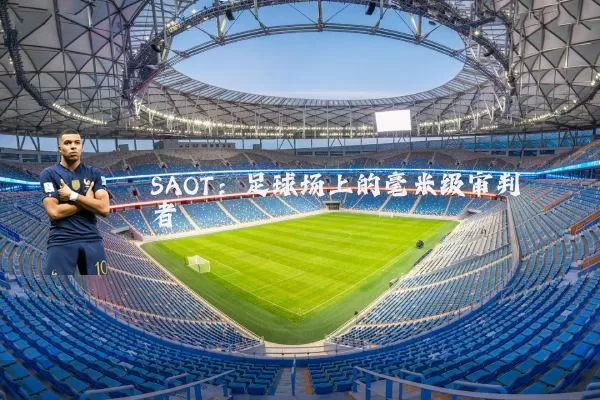 SAOT：足球场上的毫米级审判者
